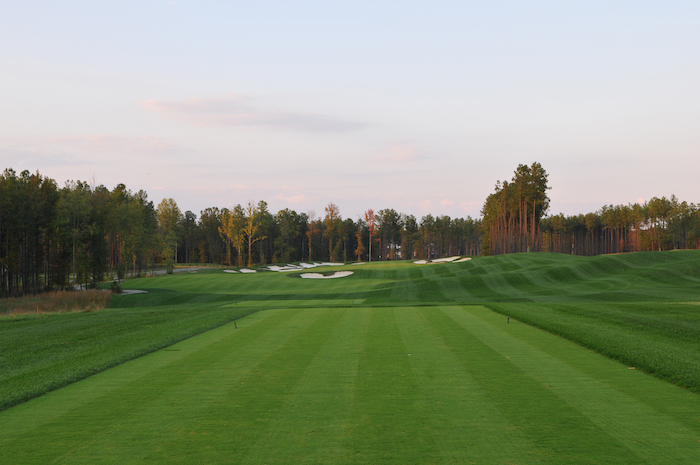 hole 8
